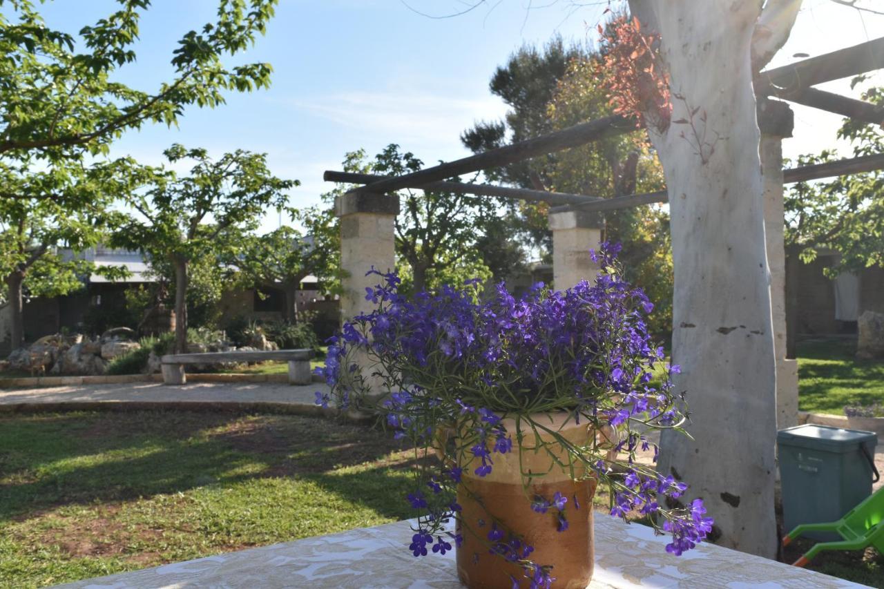 Tenuta Nonno Carmine Porto Cesareo Exteriér fotografie