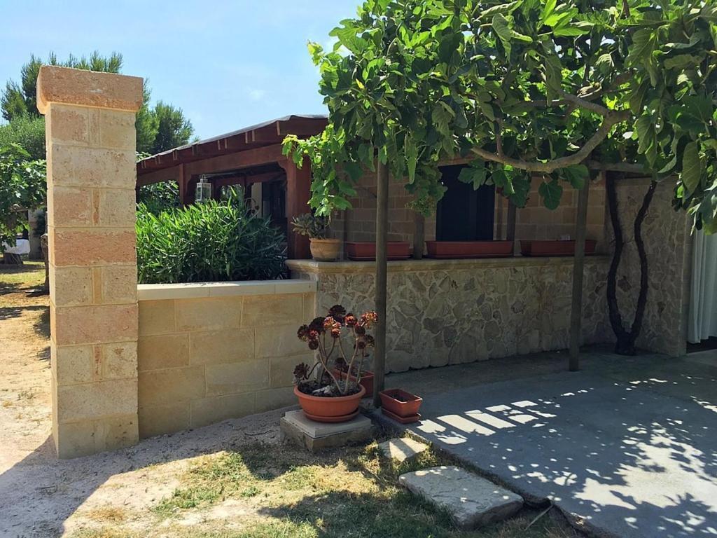 Tenuta Nonno Carmine Porto Cesareo Exteriér fotografie